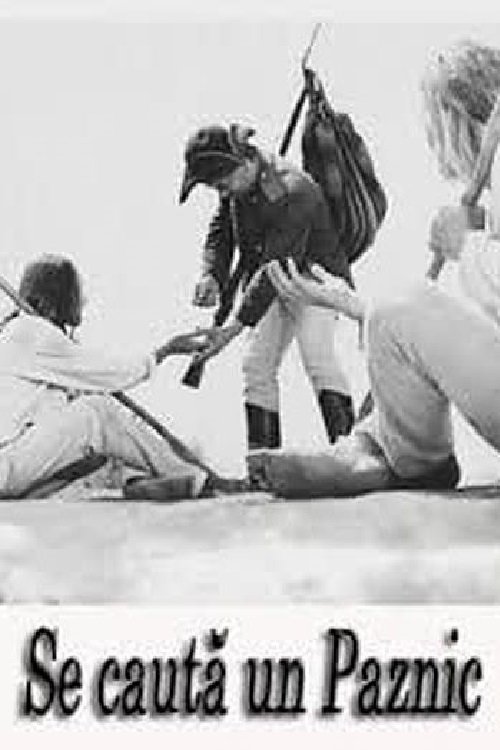 Looking for a Guard photo