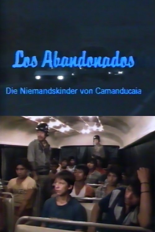 Los Abandonados – Die Niemandskinder von Camanducaia photo