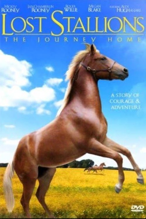 Lost Stallions: The Journey Home photo
