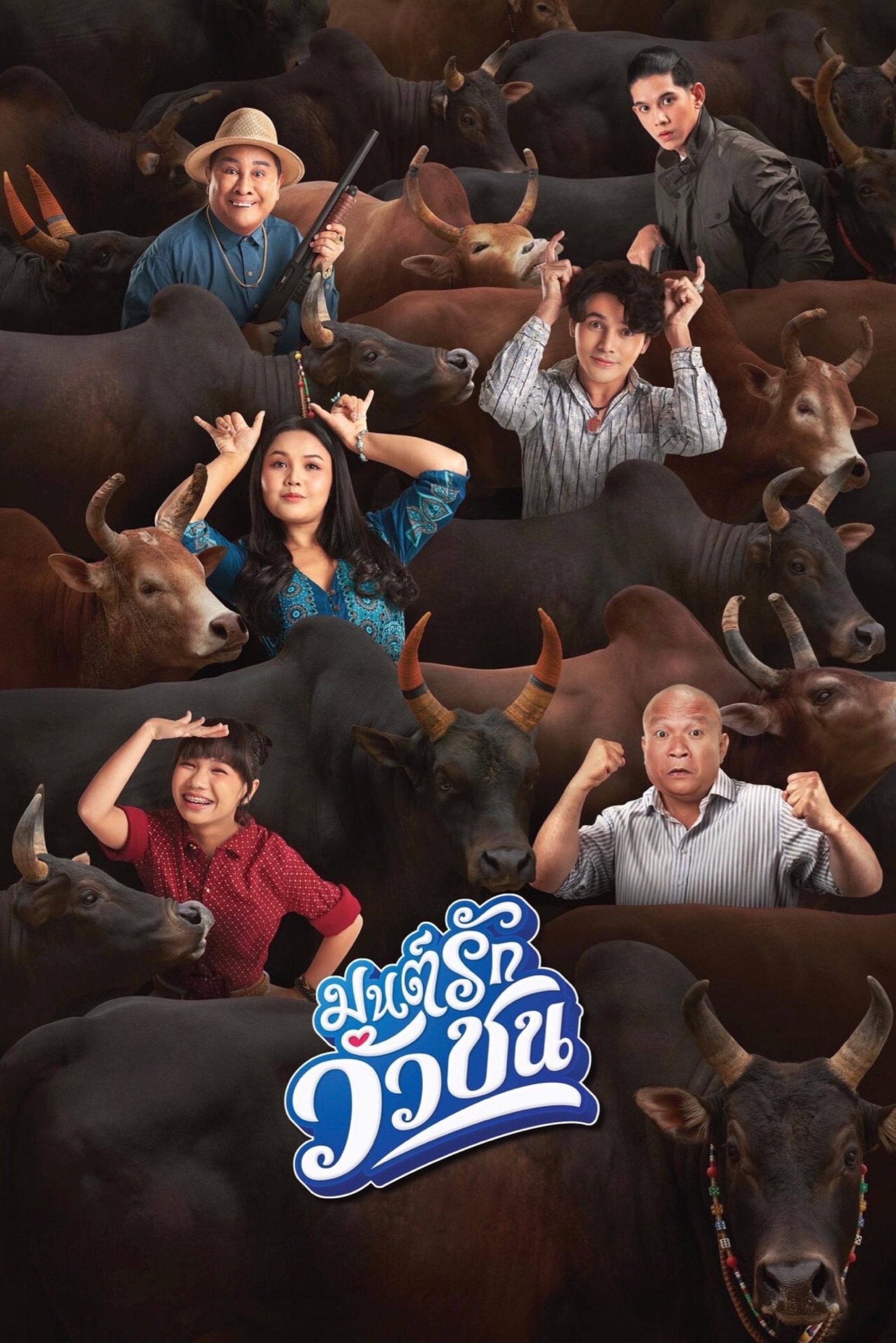 Love Battle vs Bullfighting photo