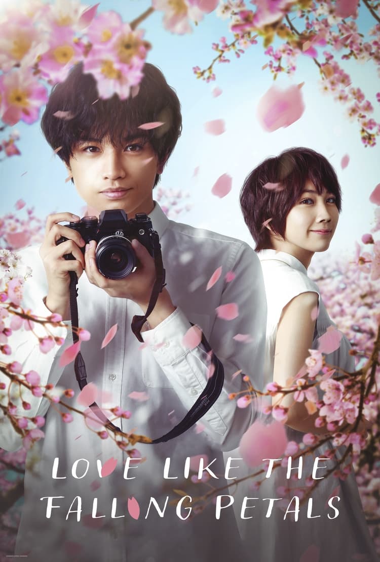 Love Like the Falling Petals photo