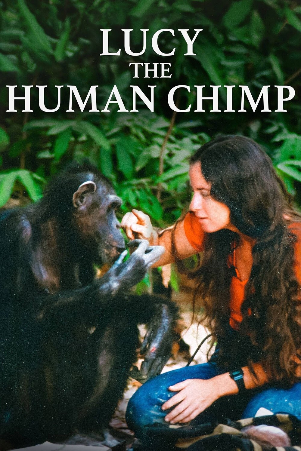 Lucy the Human Chimp photo