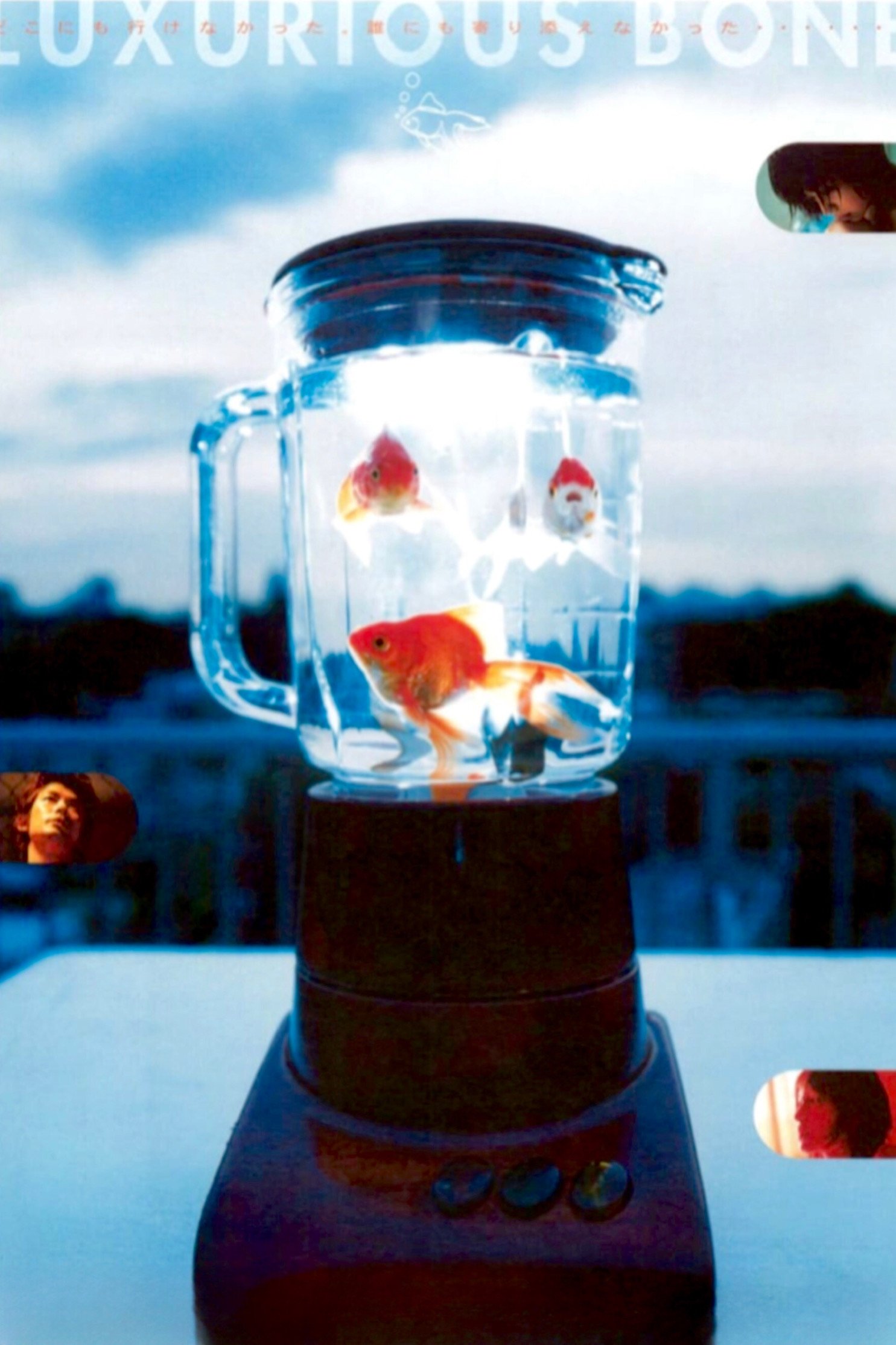 Luxurious Bone photo