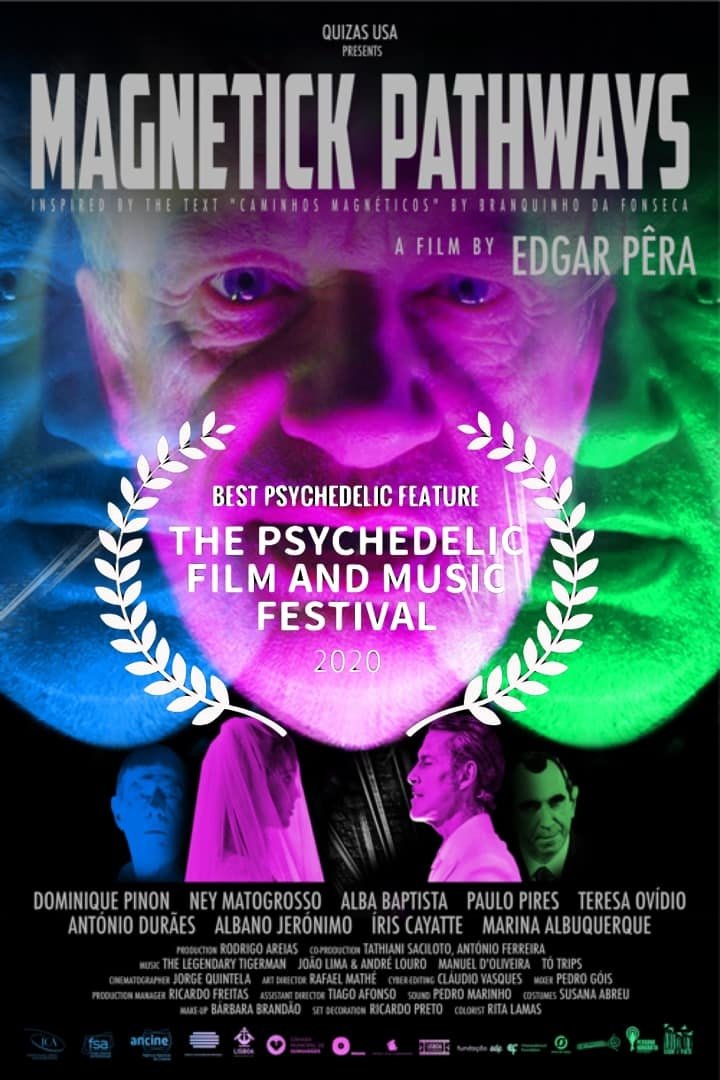 Magnetick Pathways photo