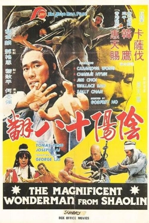 Magnificent Wonderman photo