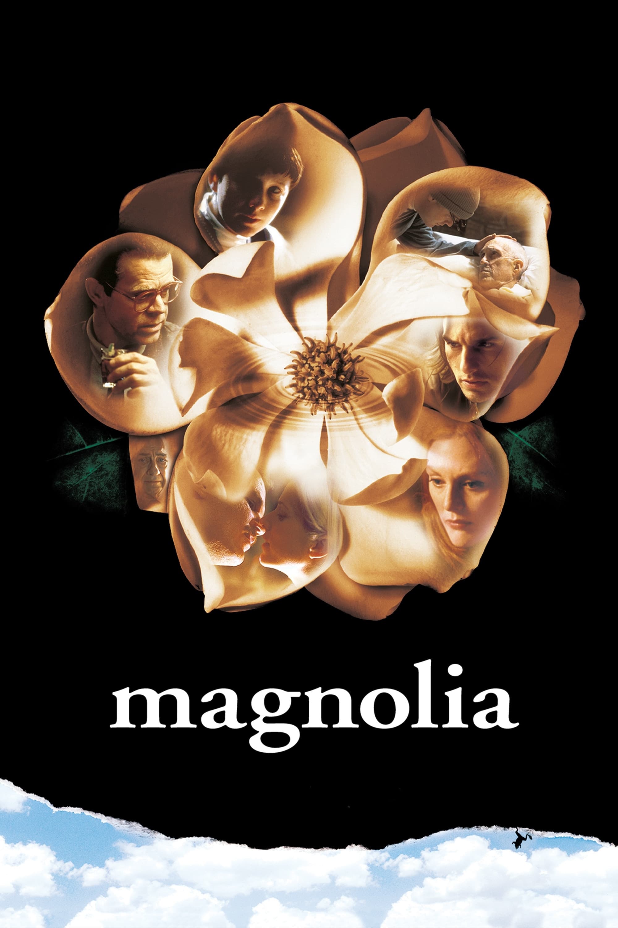 Magnolia photo