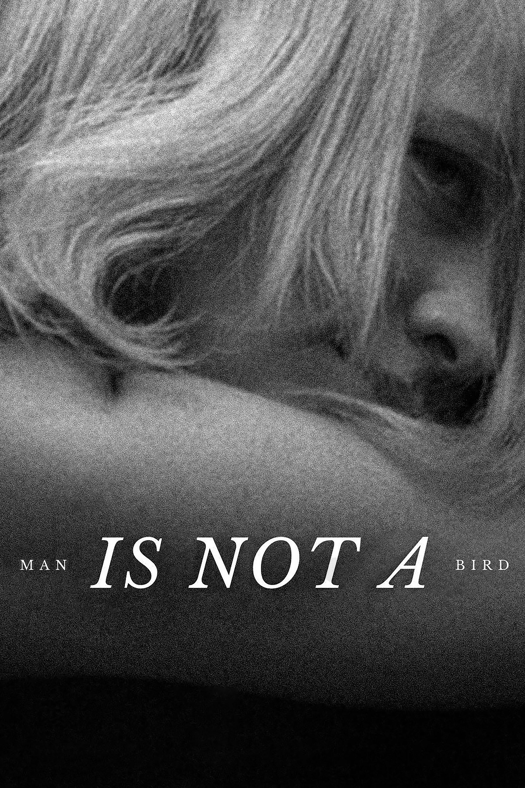 Man Is Not a Bird photo