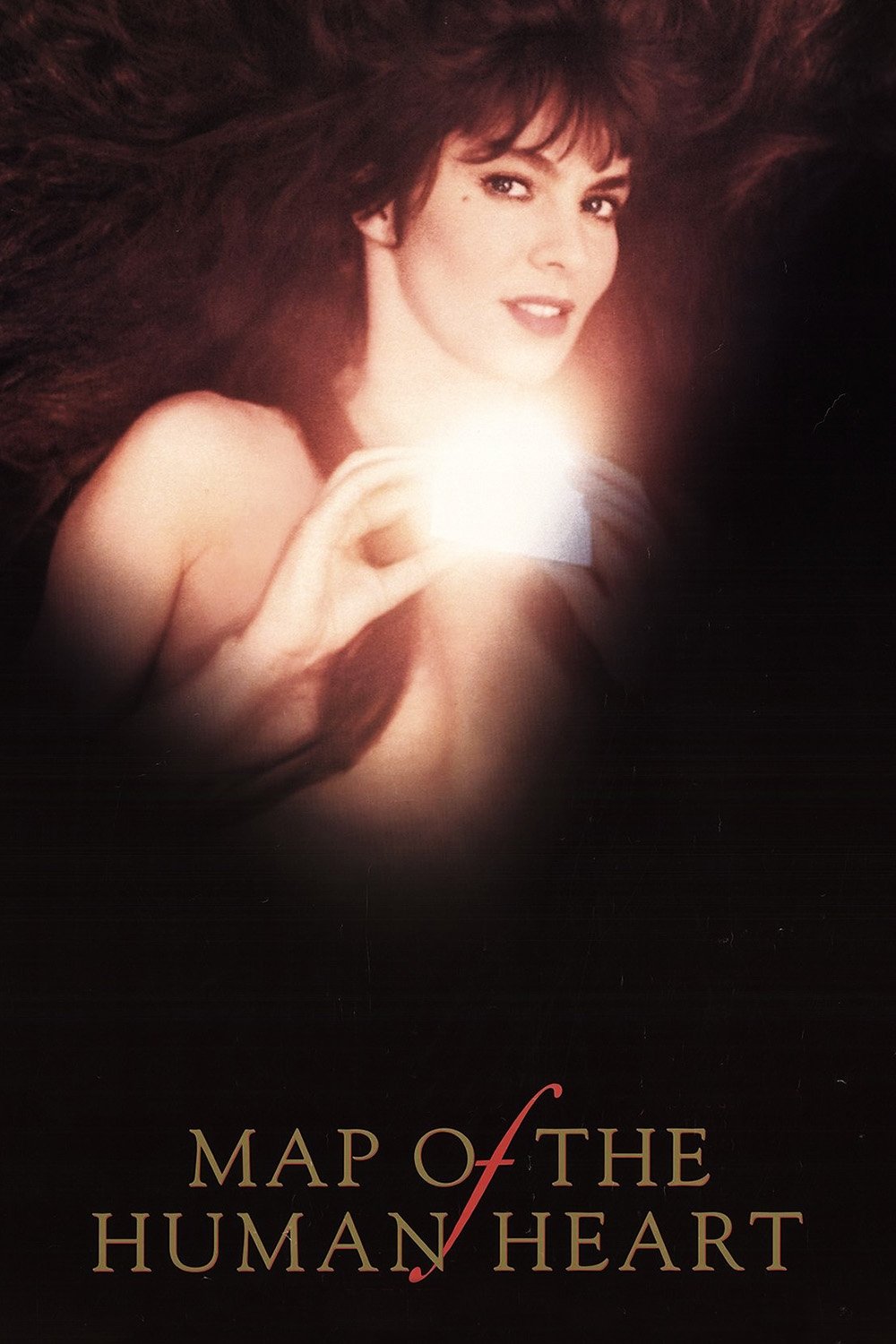 Map of the Human Heart photo