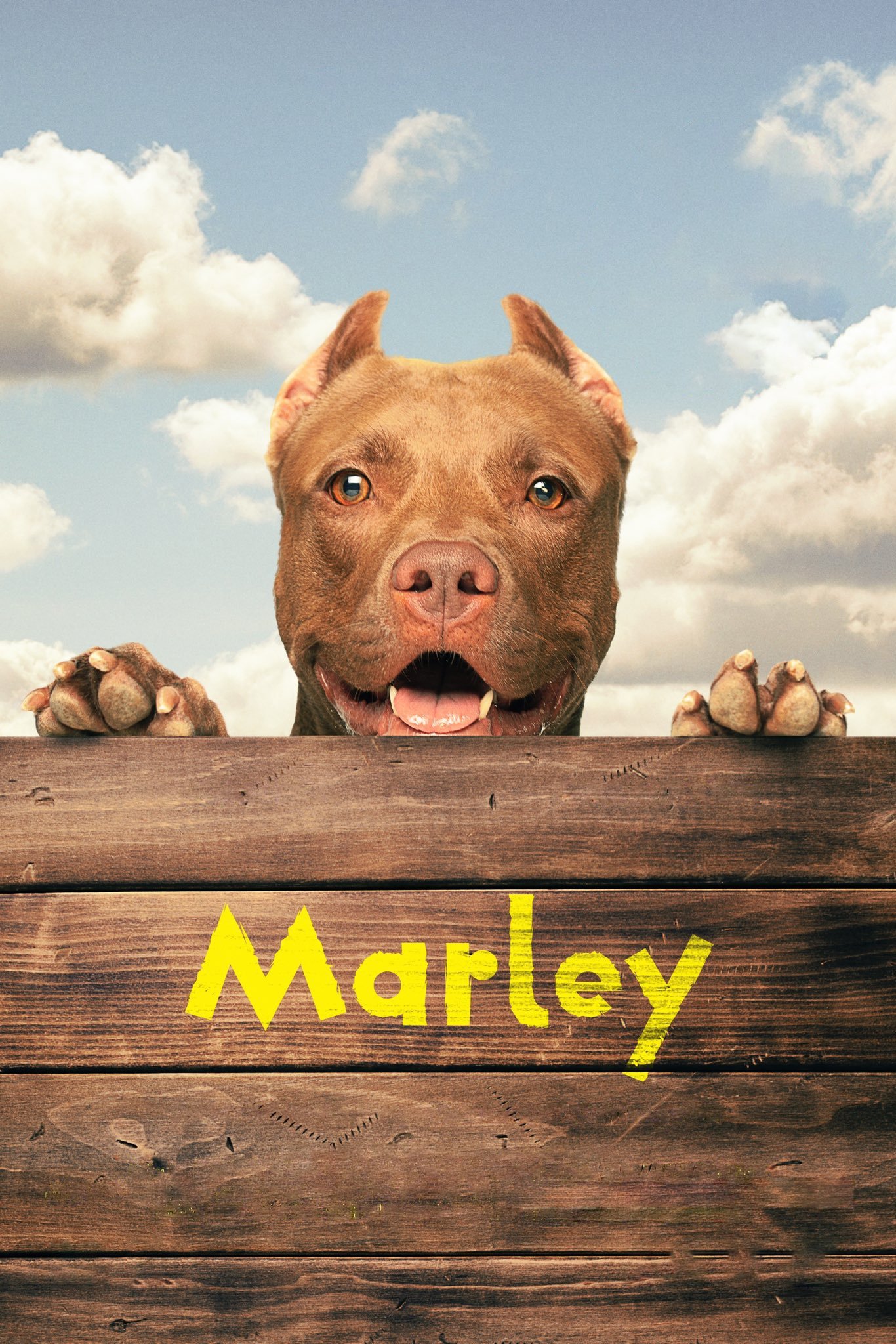 Marley photo