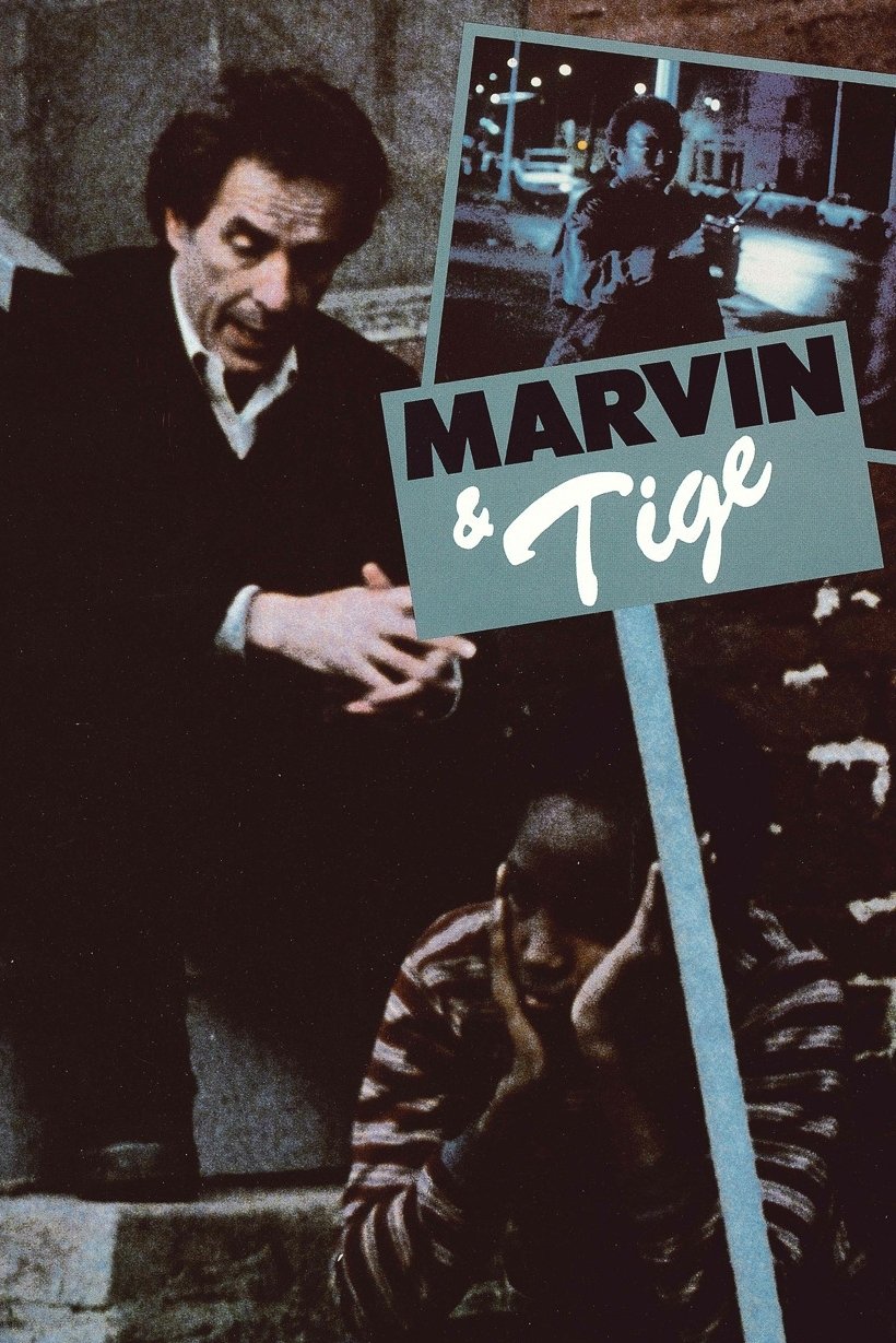 Marvin & Tige photo