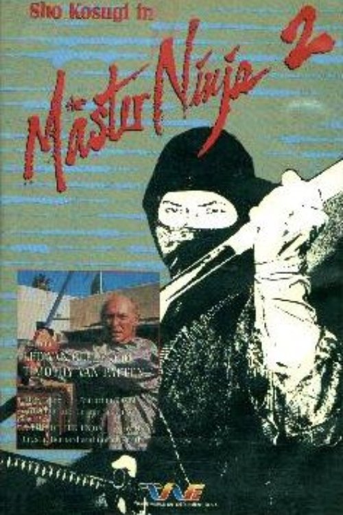 Master Ninja II photo