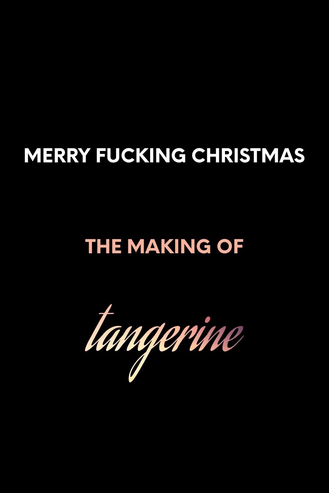 Merry F*cking Christmas: The Making of Tangerine photo