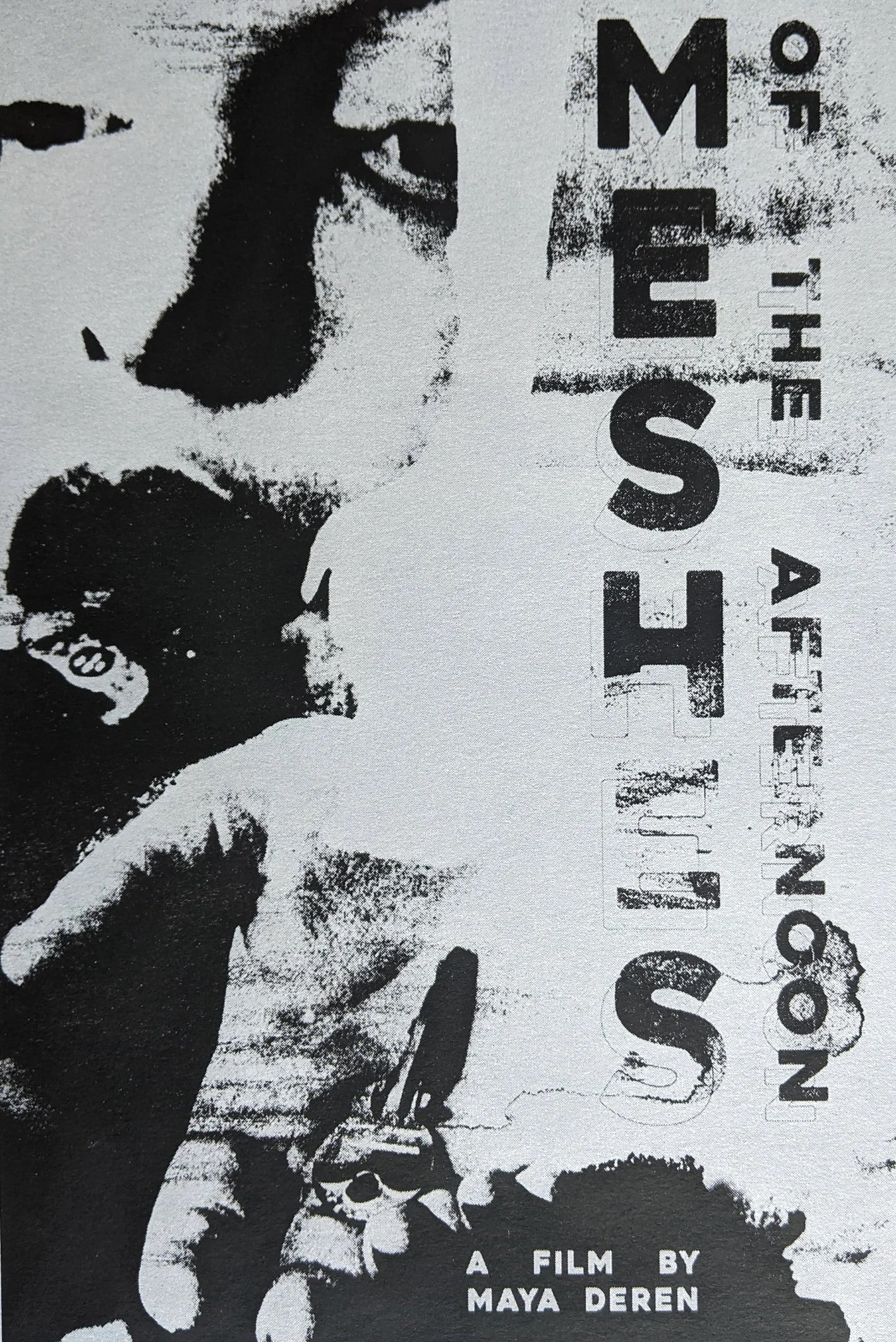 Meshes of the Afternoon photo