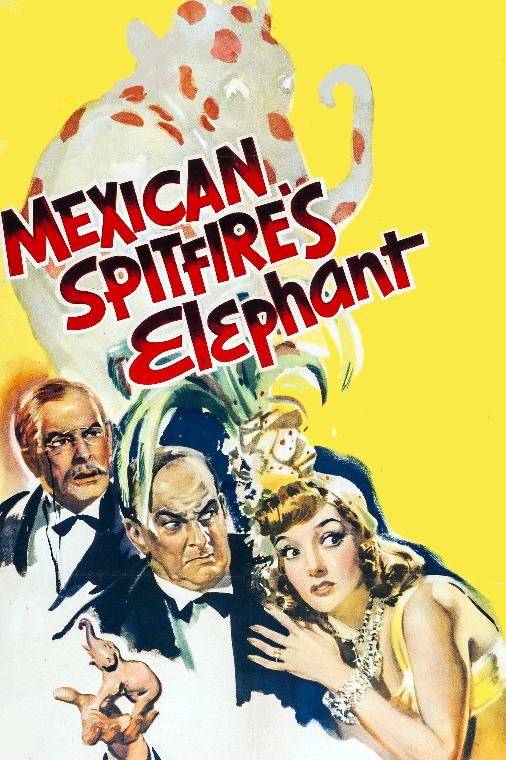 Mexican Spitfire's Elephant photo