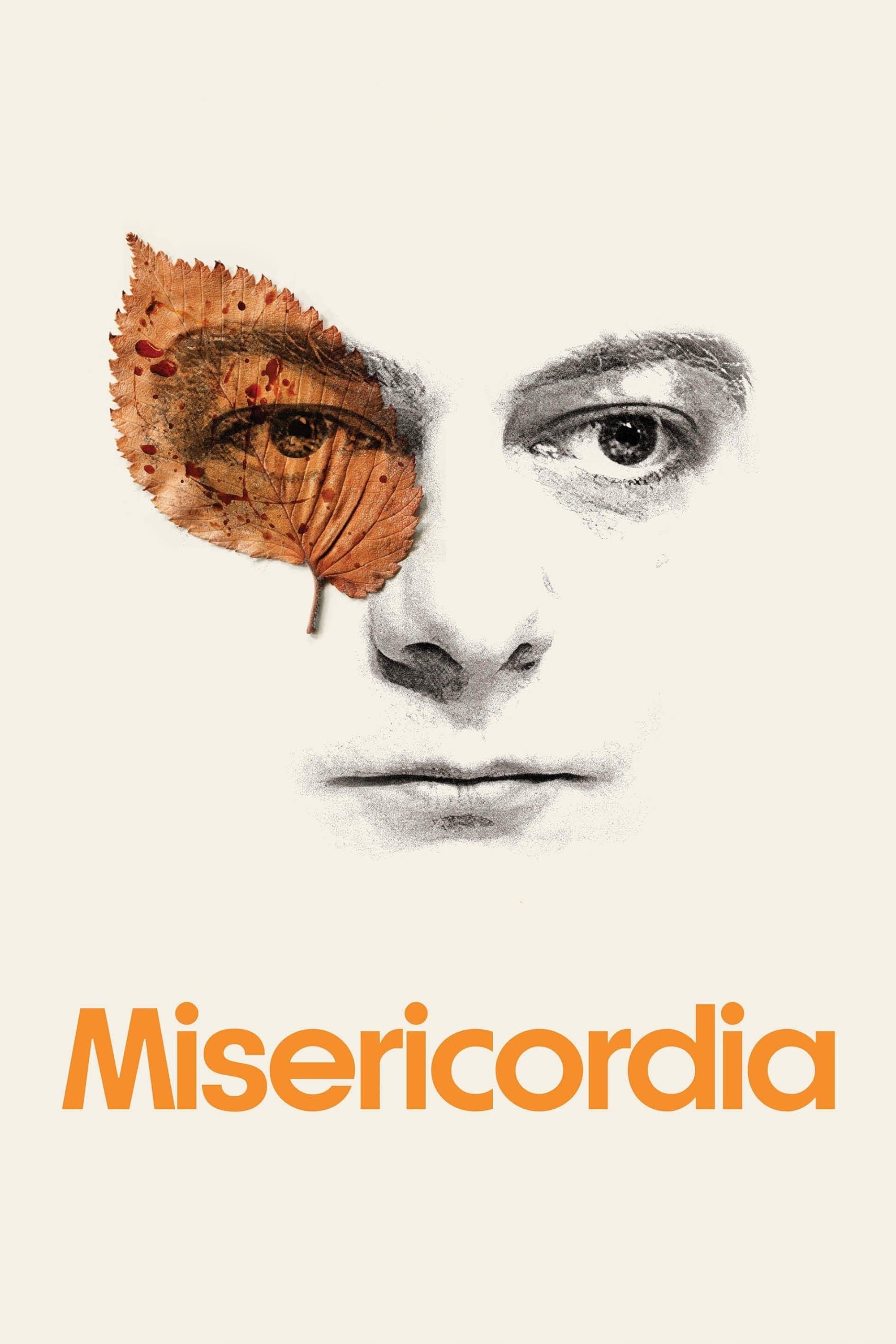 Misericordia photo