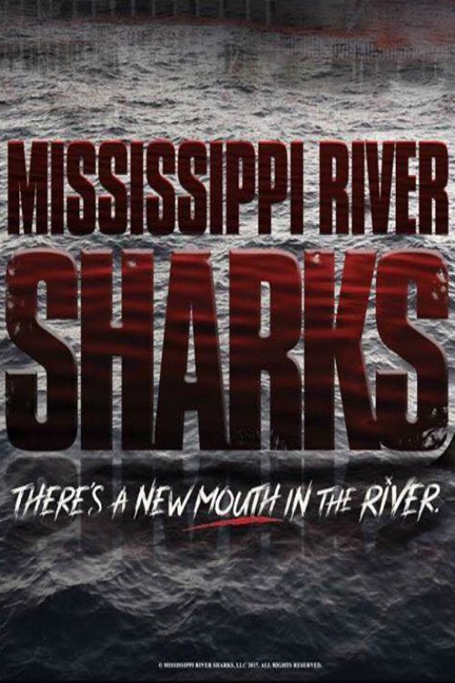 Mississippi River Sharks photo