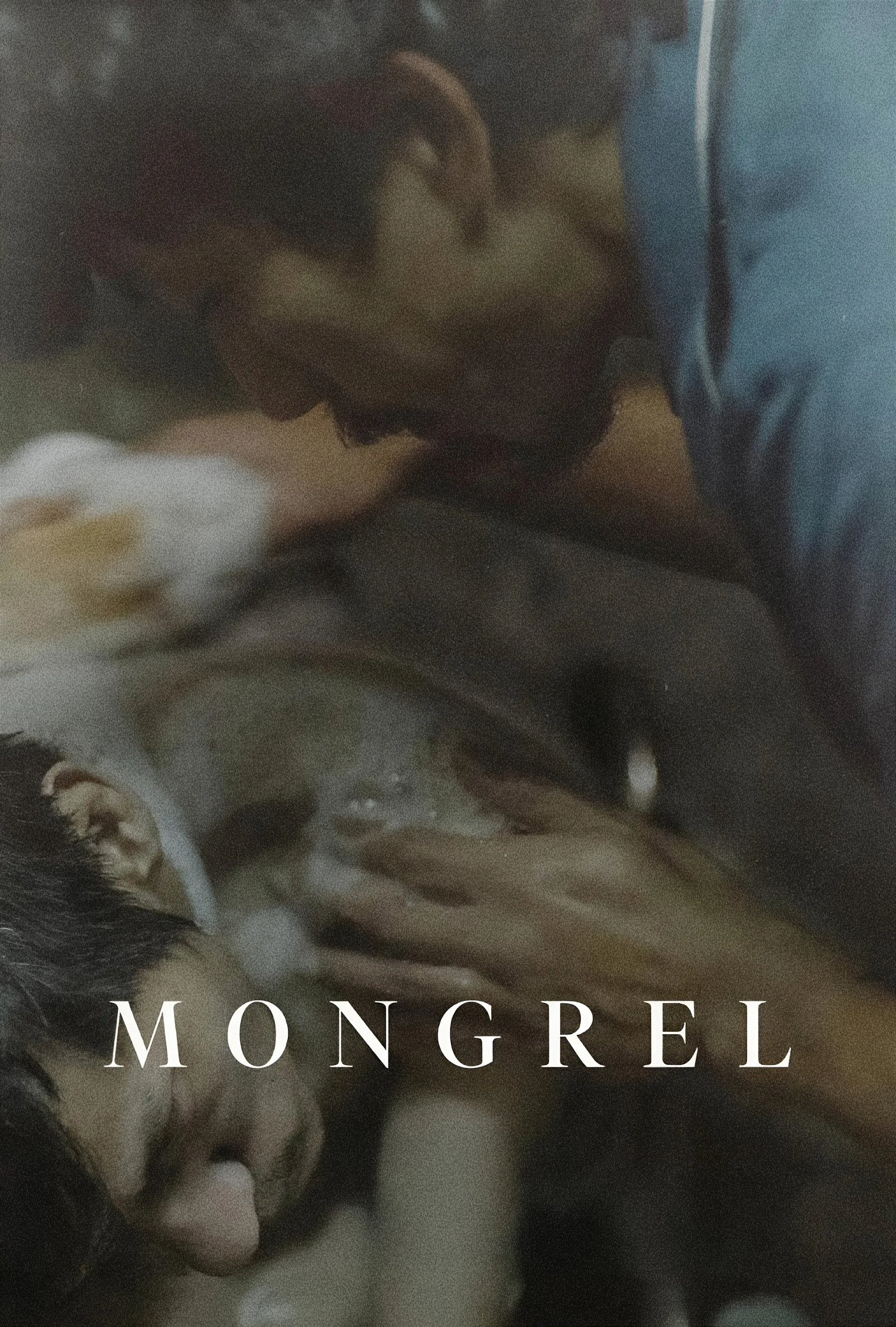 Mongrel photo