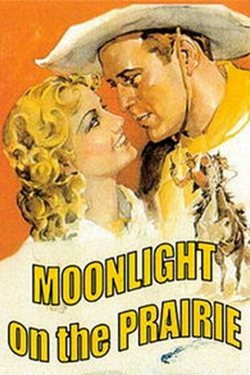 Moonlight on the Prairie photo