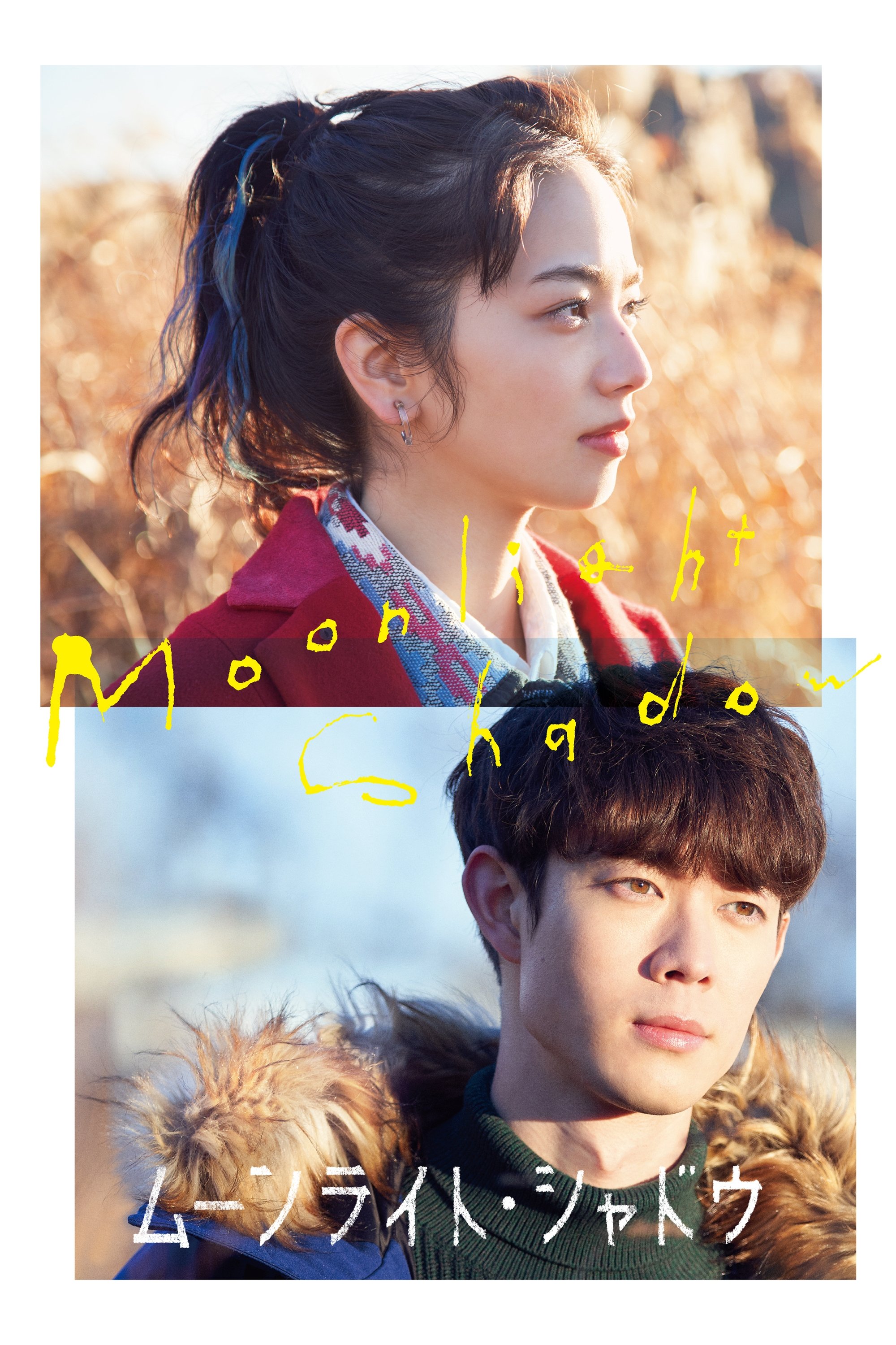 Moonlight Shadow photo