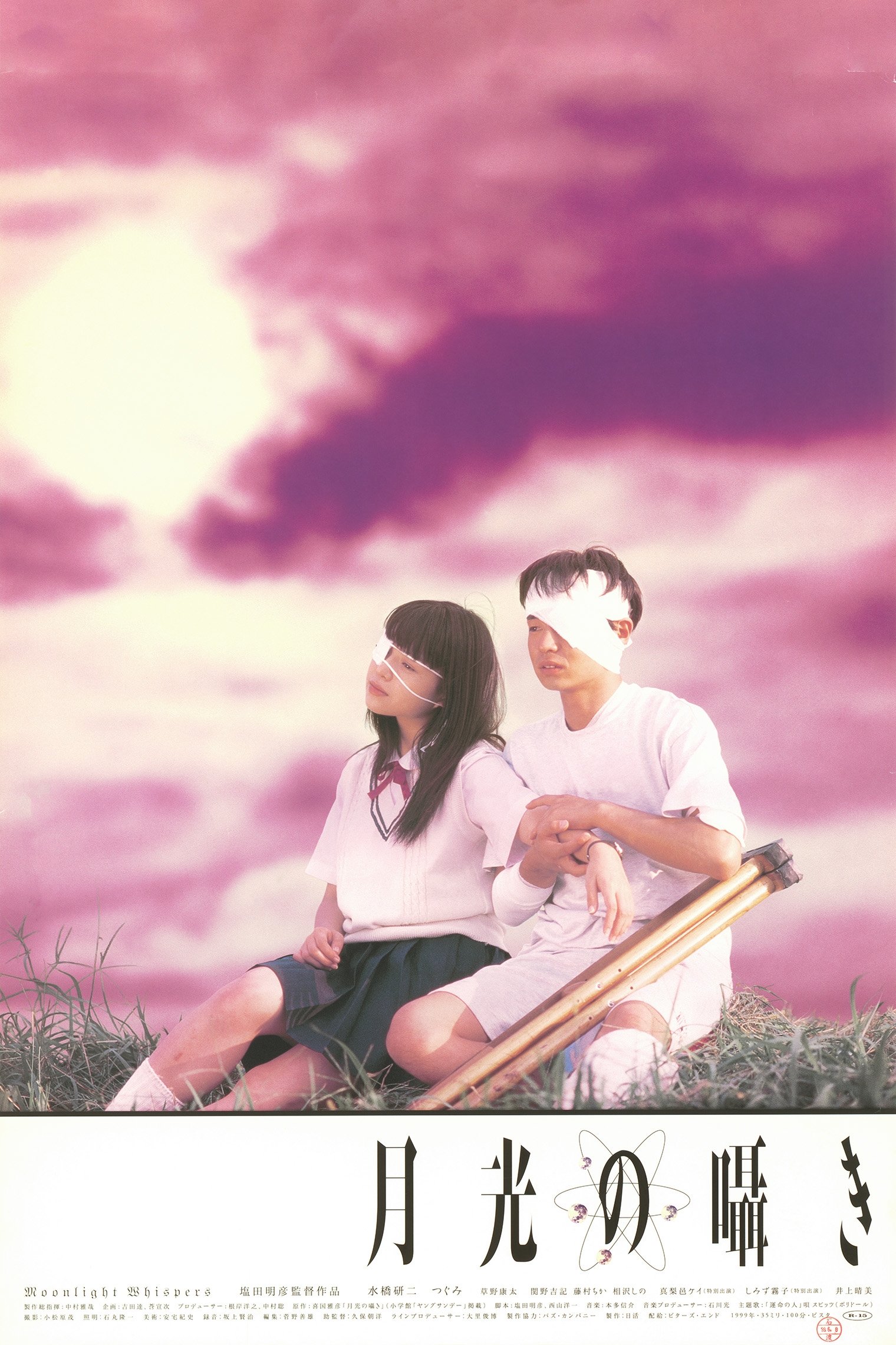 Moonlight Whispers photo