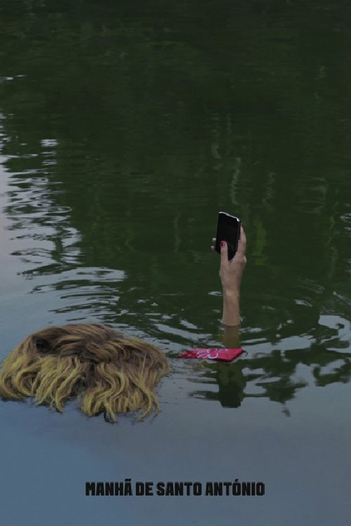 Morning of Saint Anthony's Day photo