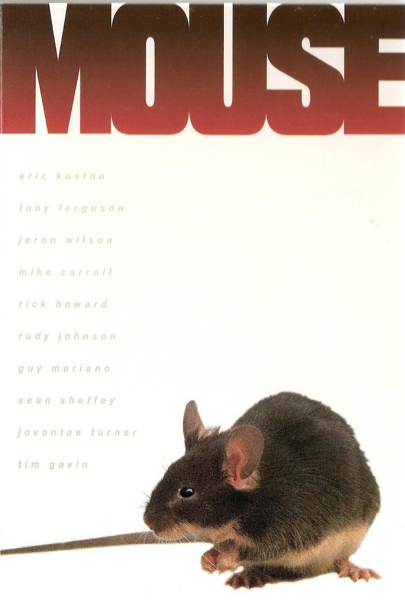 Mouse photo