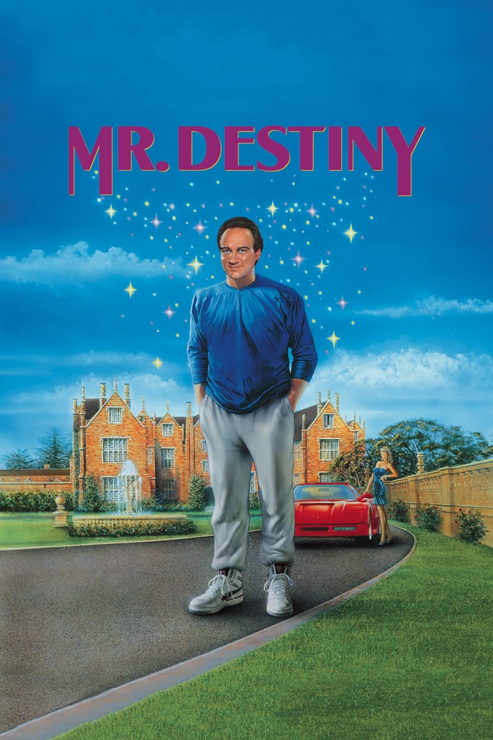 Mr. Destiny photo