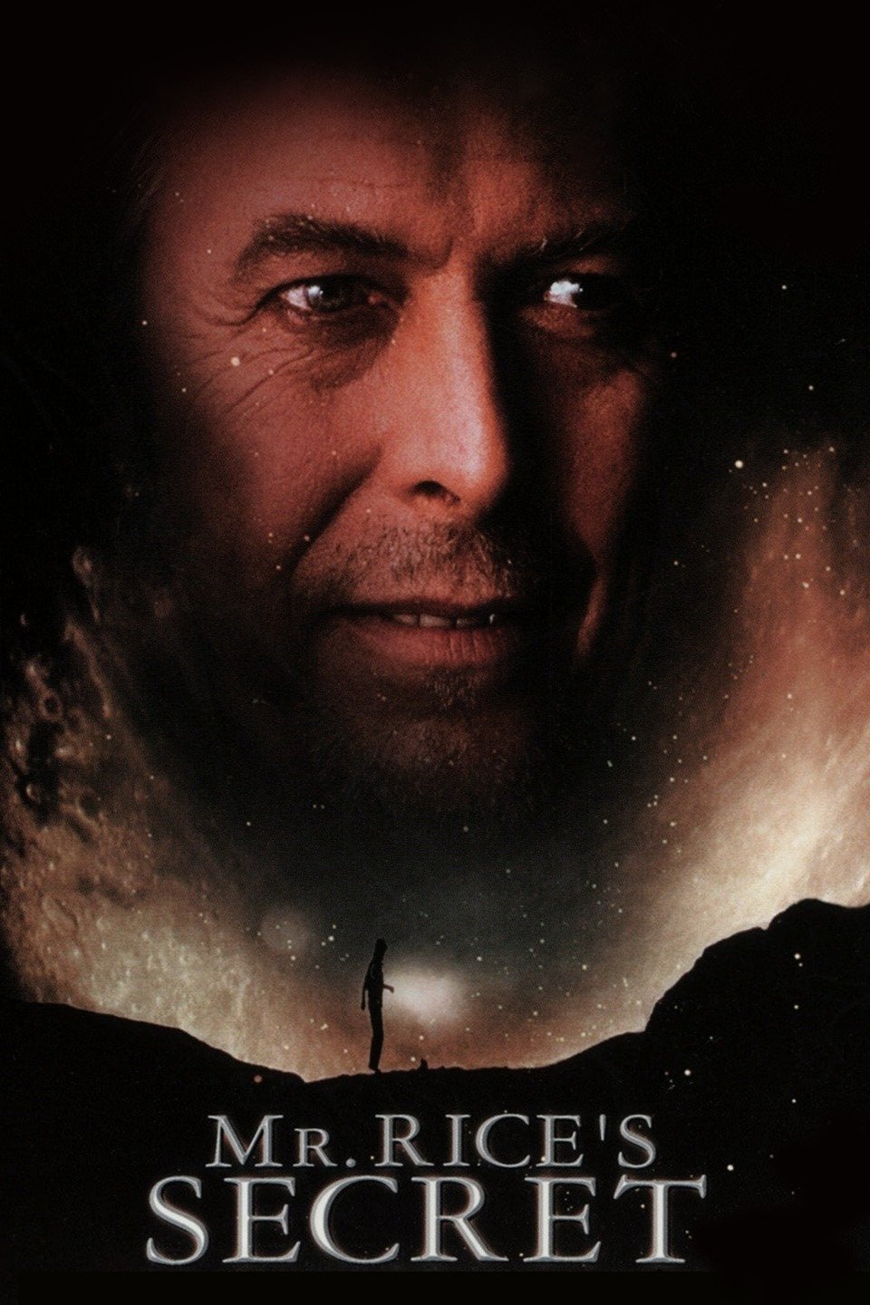 Mr. Rice's Secret photo