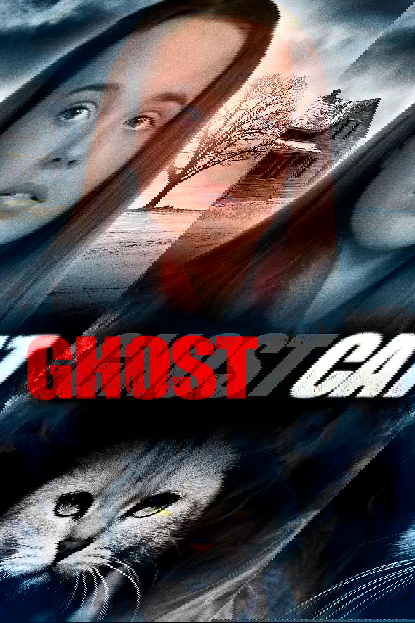 Mrs. Ashboro's Cat photo