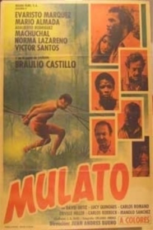 Mulato photo