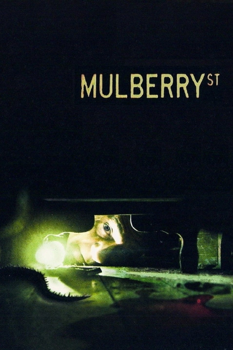 Mulberry Street photo