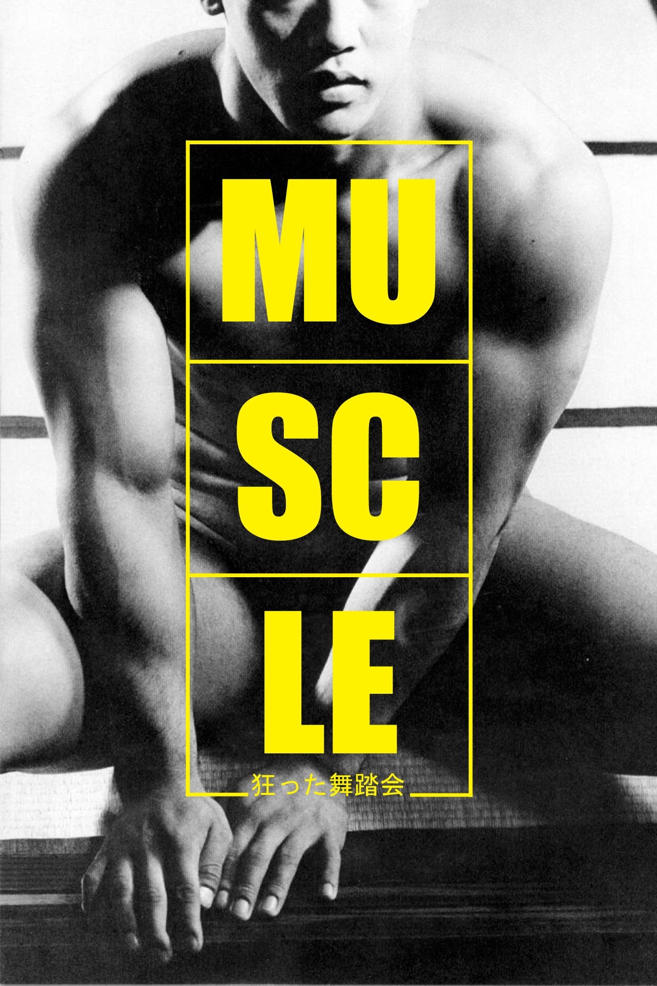 Muscle photo