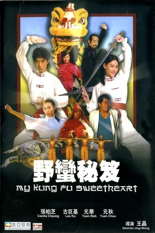 My Kung Fu Sweetheart photo