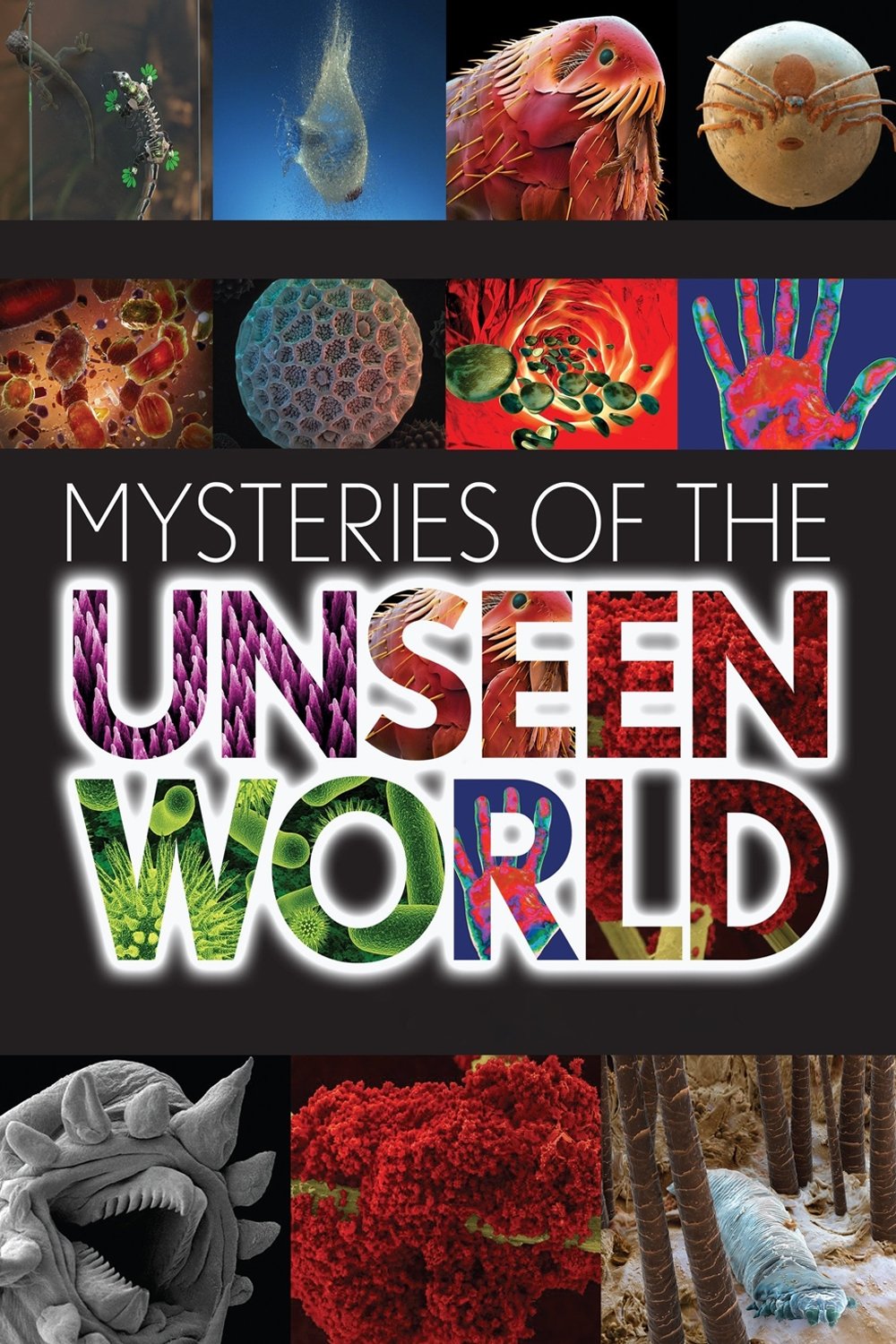 Mysteries of the Unseen World photo