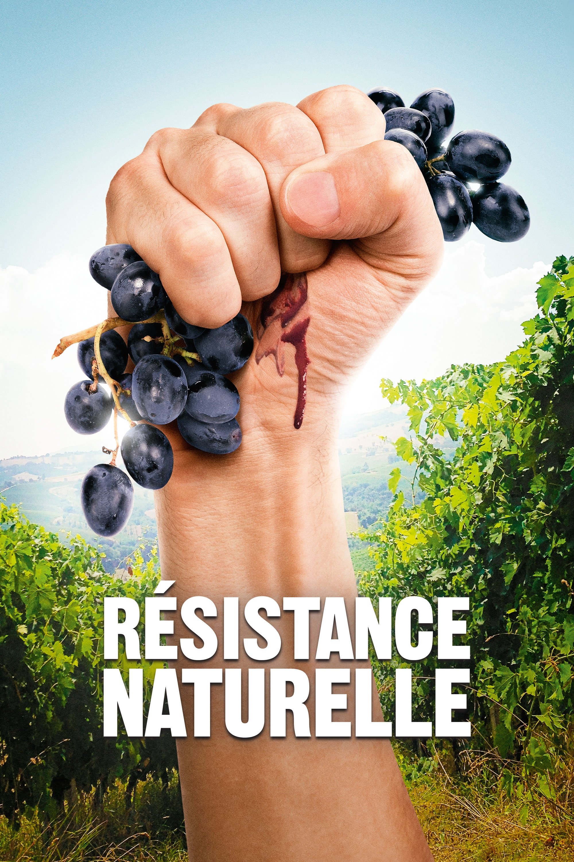 Natural Resistance photo