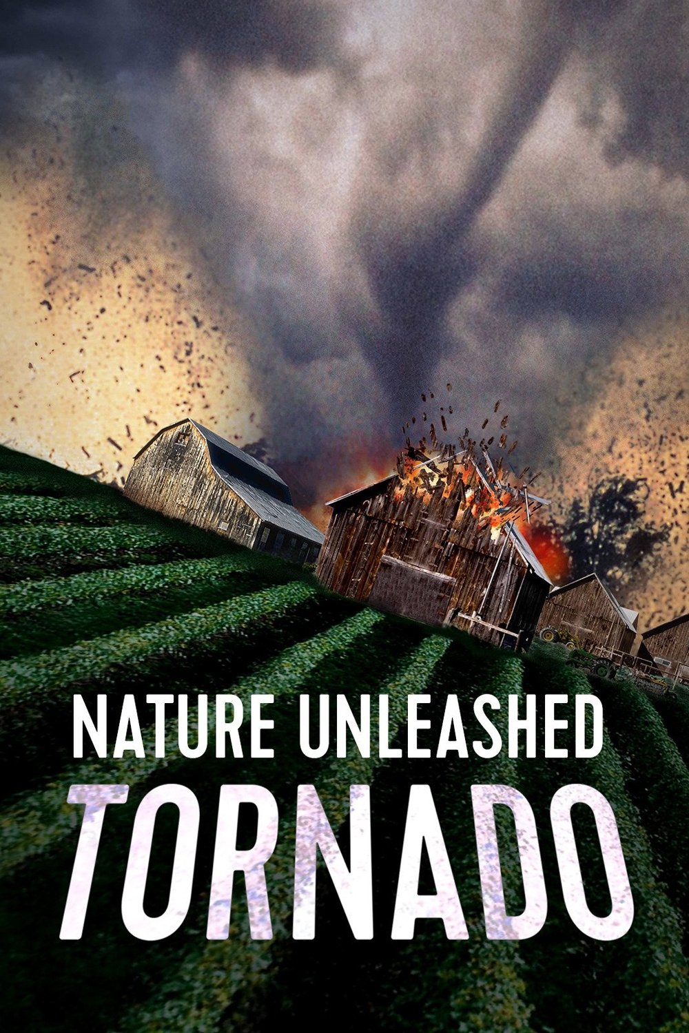 Nature Unleashed: Tornado photo
