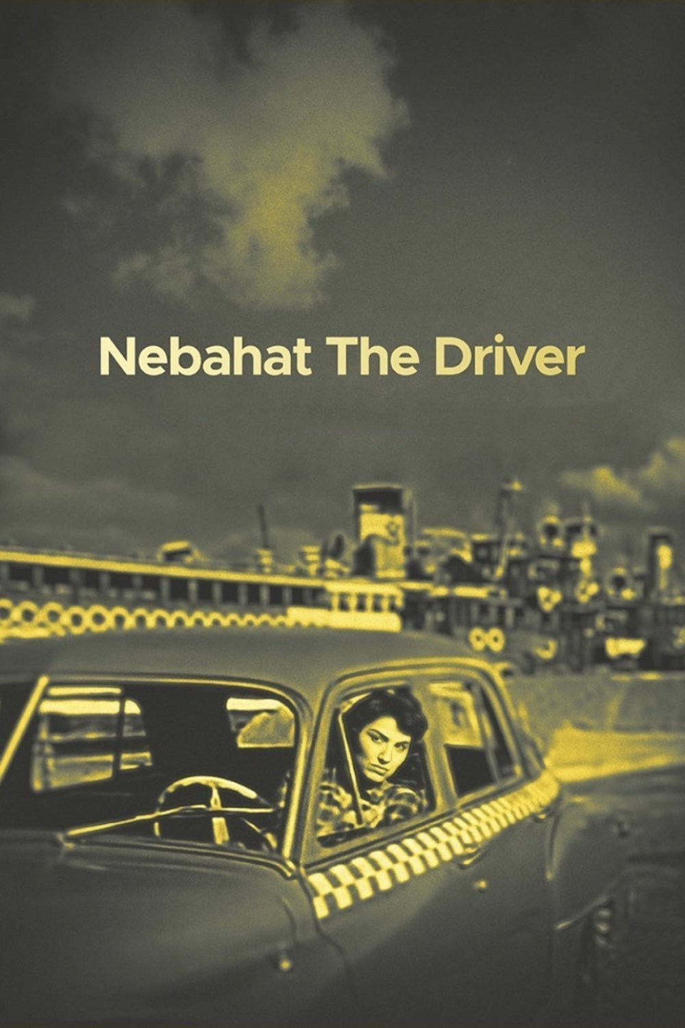 Nebahat The Driver photo