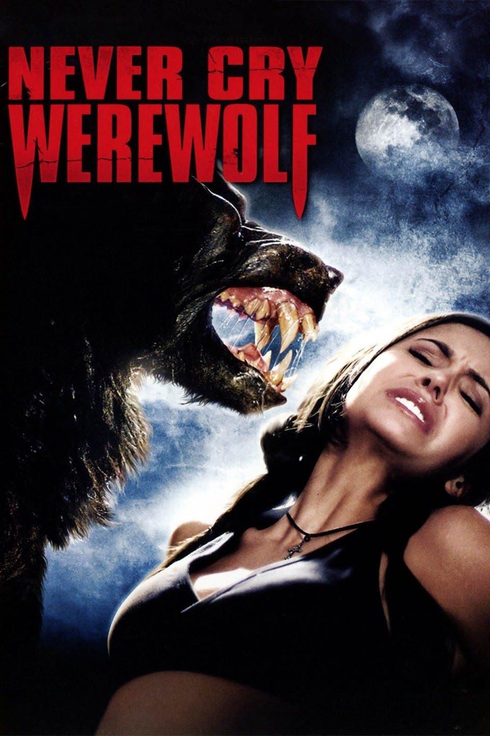 Never Cry Werewolf photo