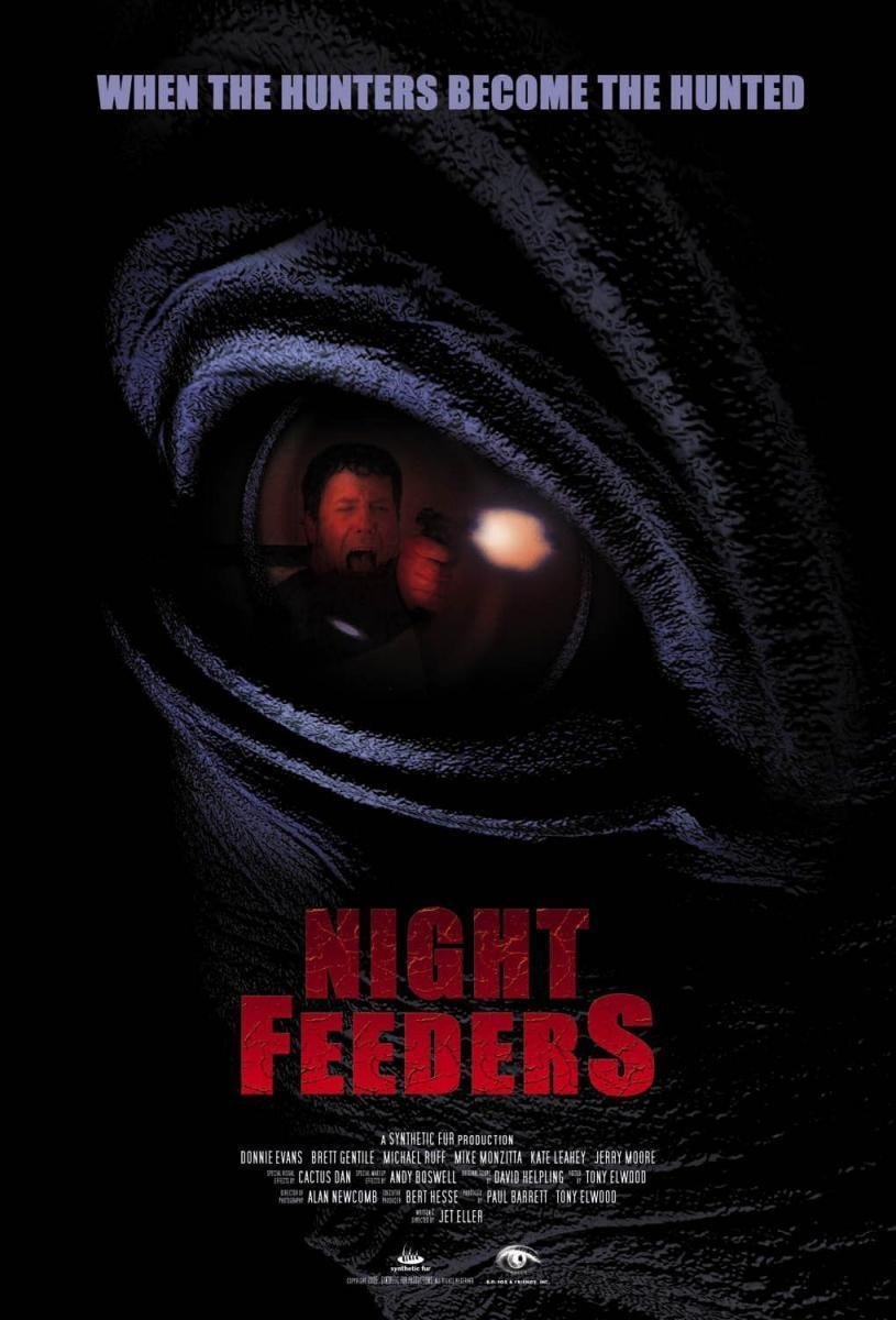 Night Feeders photo