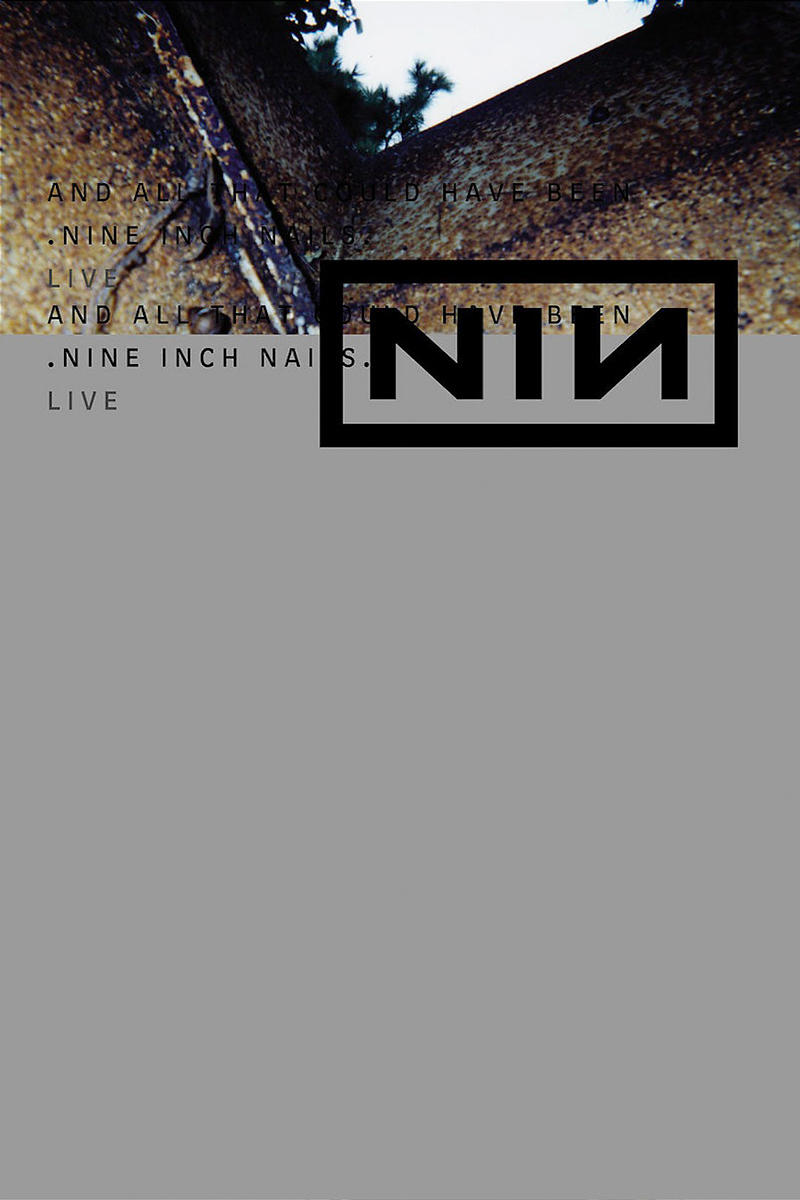 Nine Inch Nails: And All That Could Have Been photo