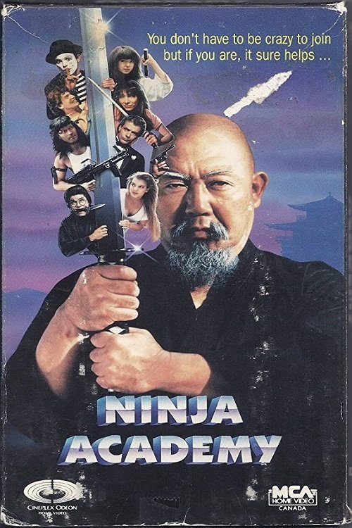 Ninja Academy photo