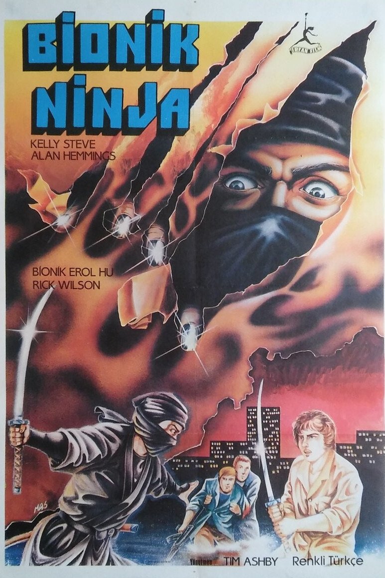 Ninja Assassins photo