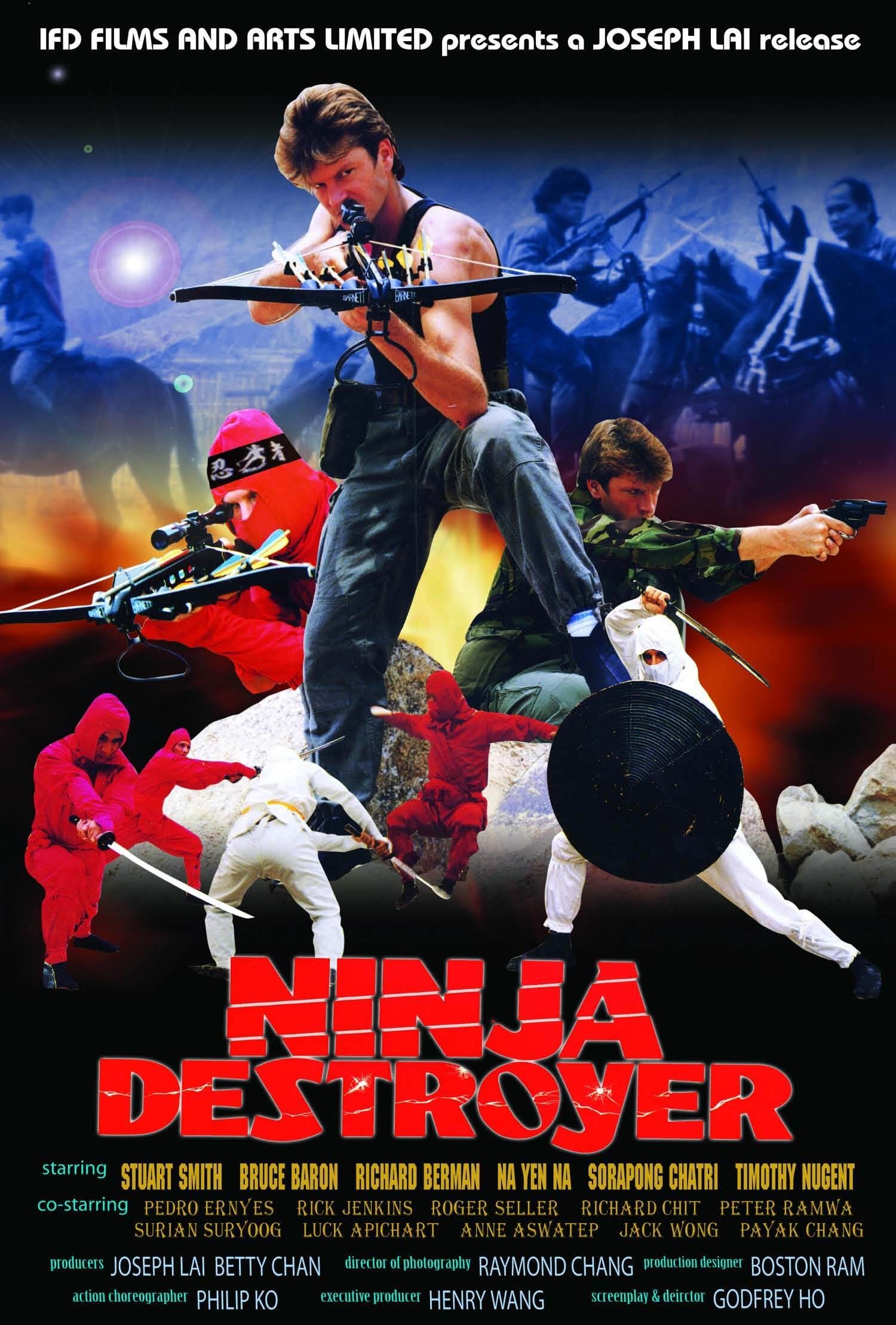 Ninja Destroyer photo