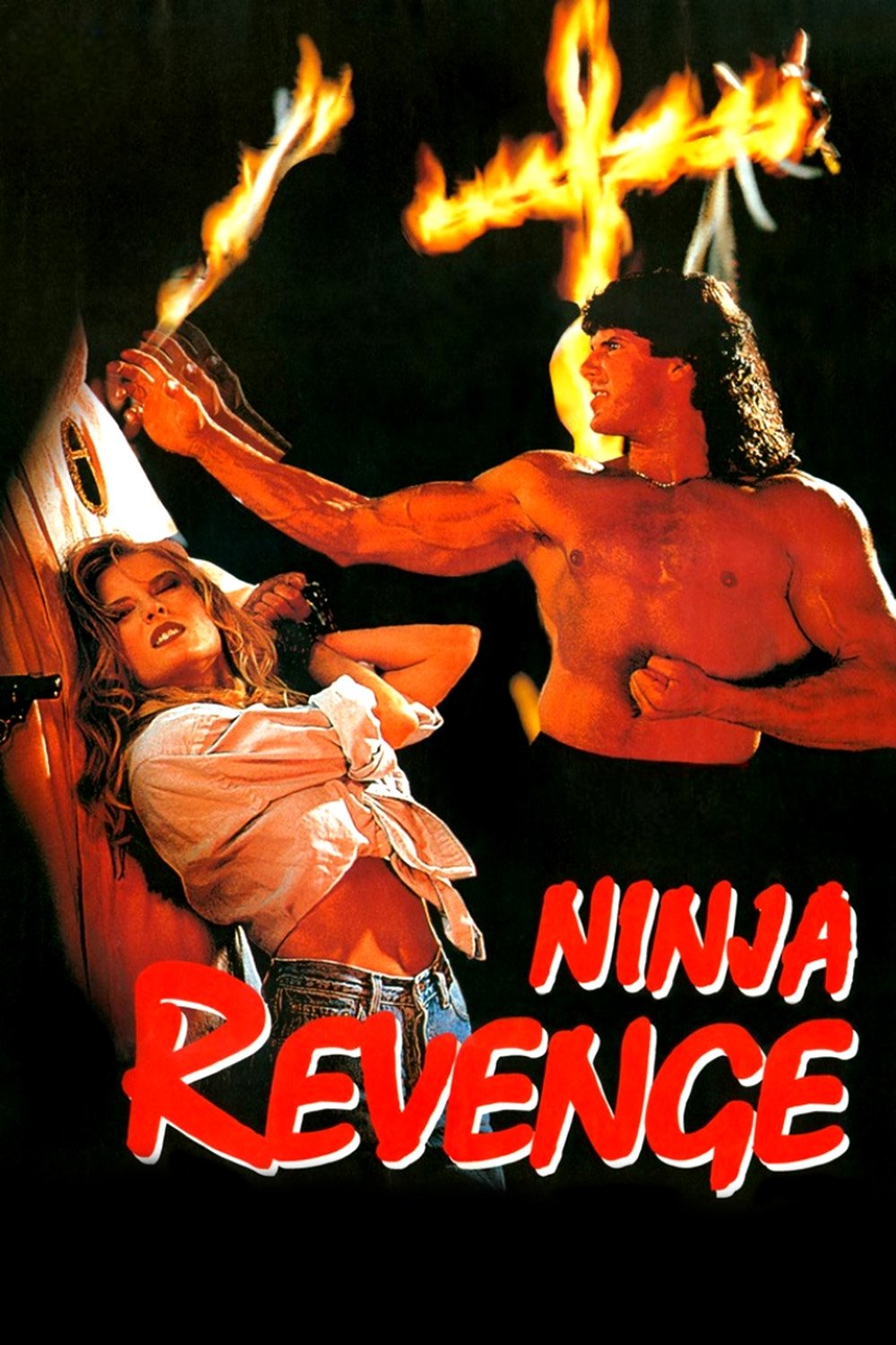 Ninja Vengeance photo