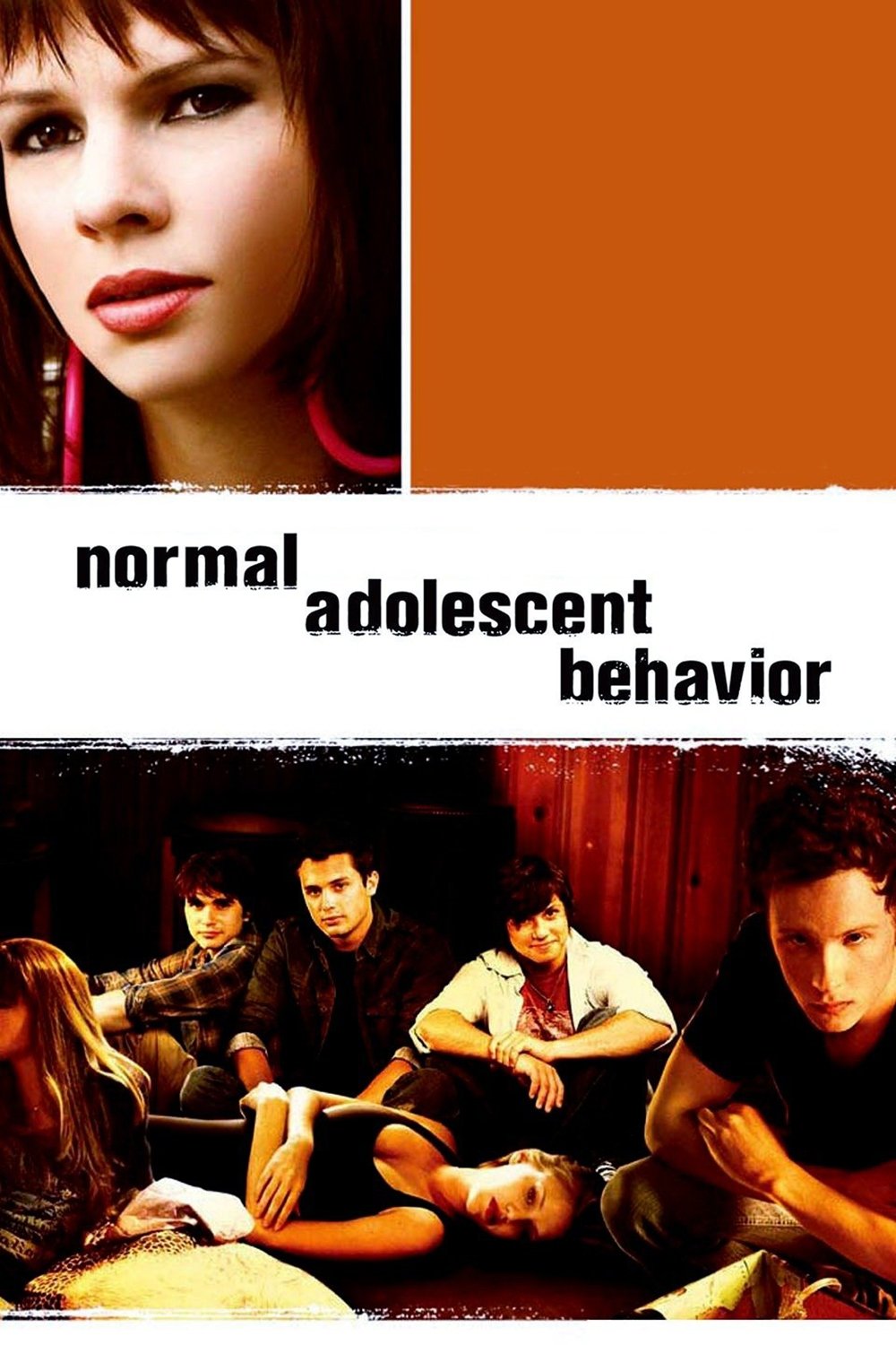 Normal Adolescent Behavior photo