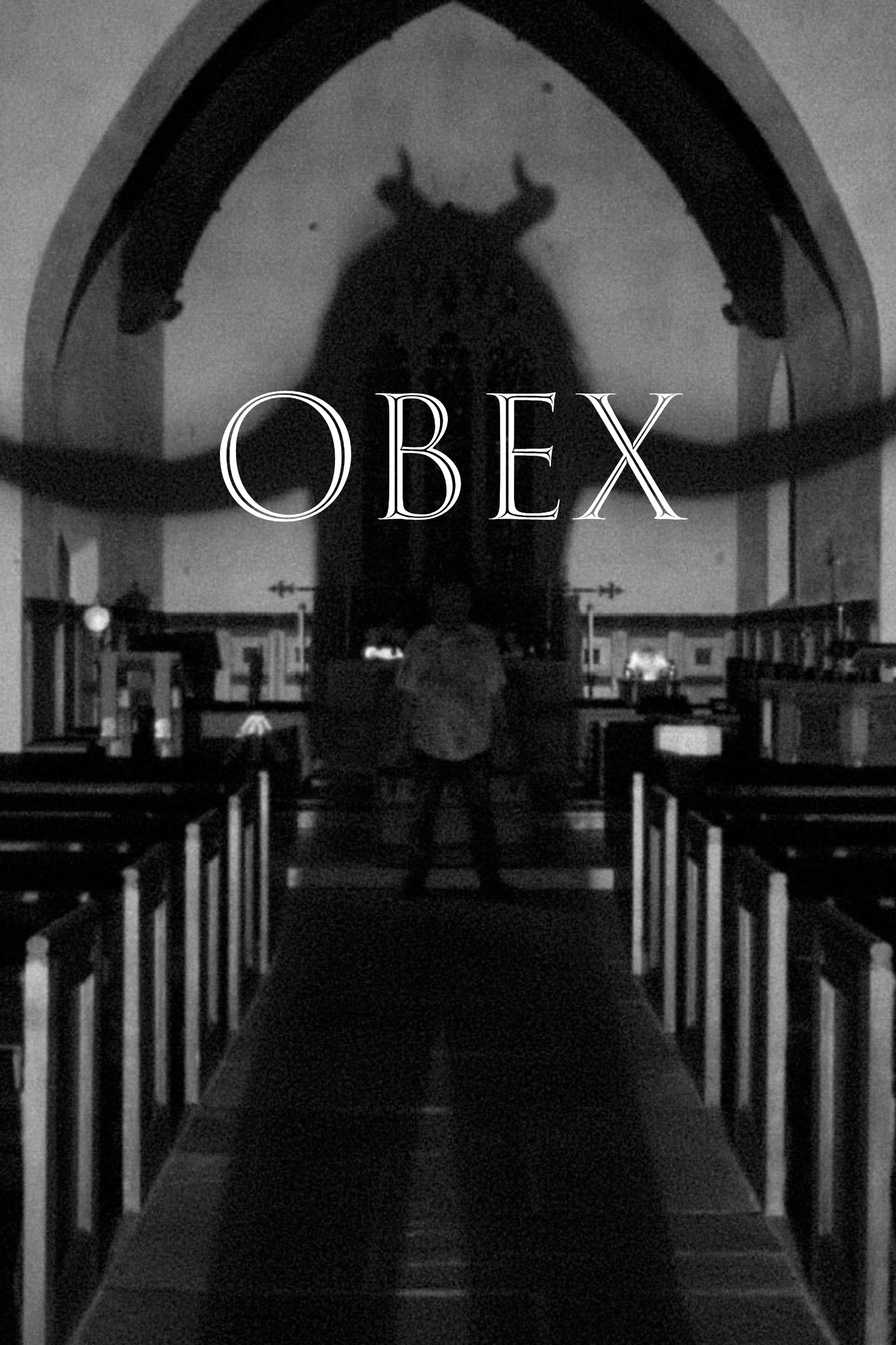 OBEX photo