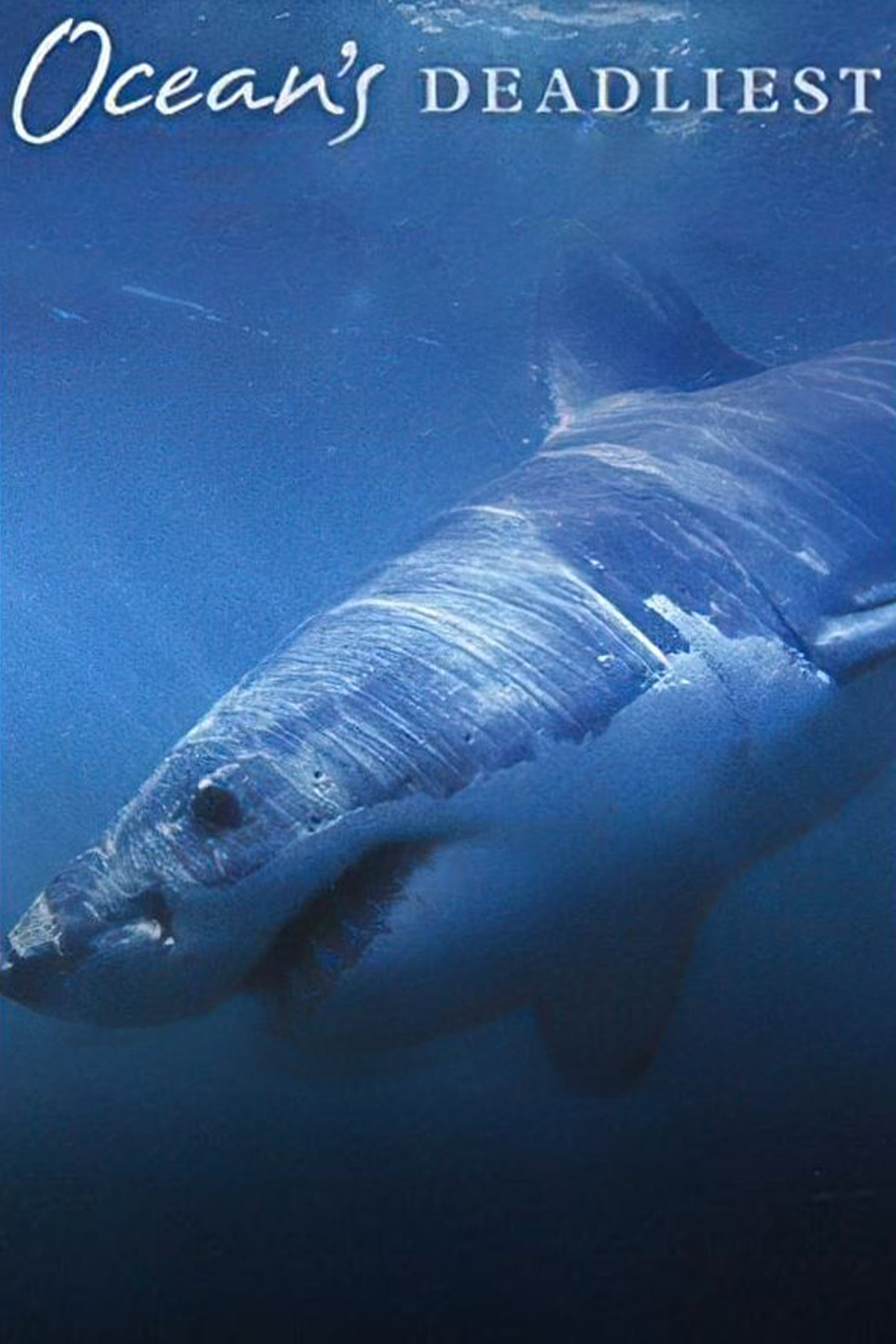 Ocean's Deadliest photo