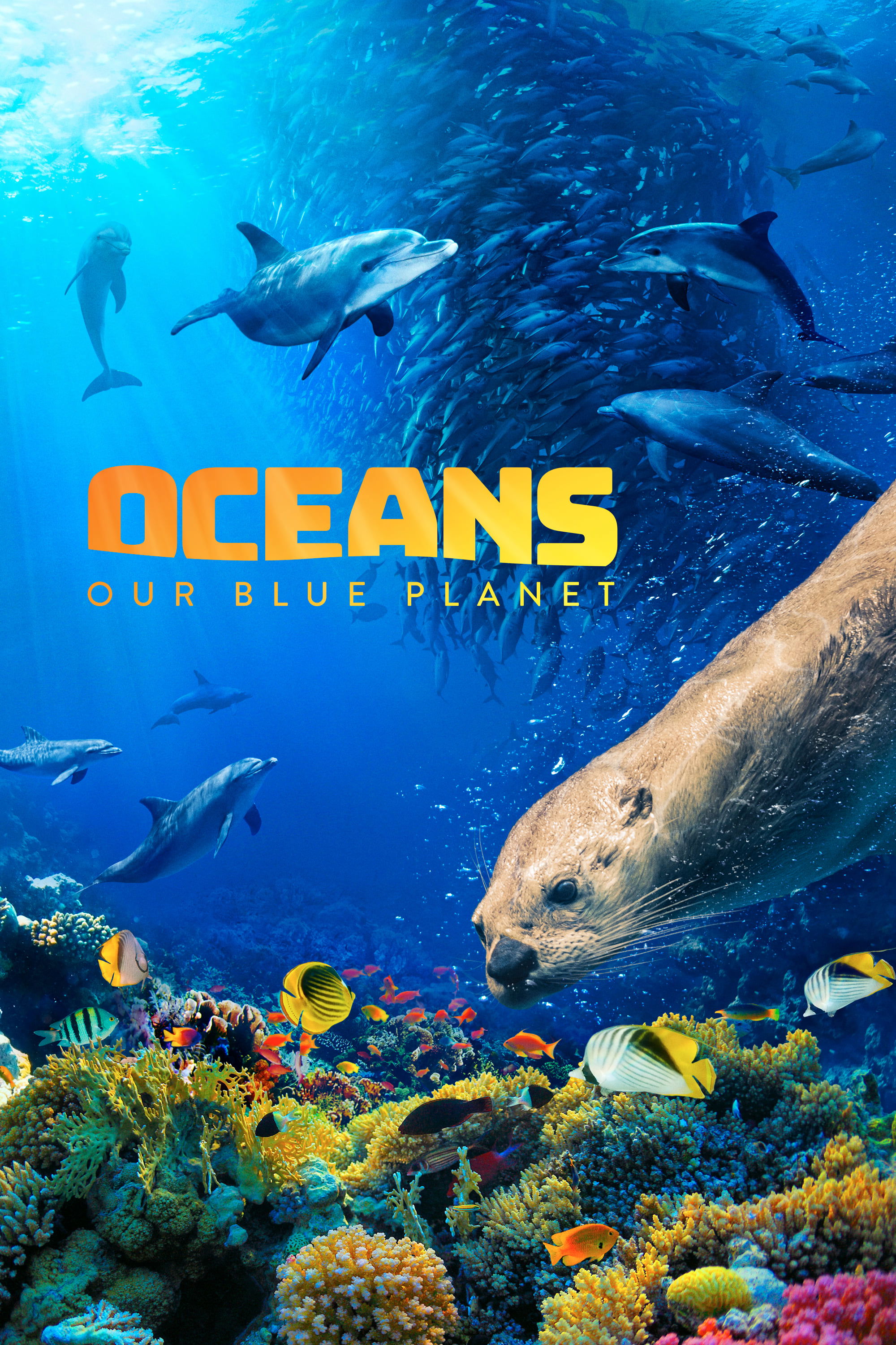 Oceans: Our Blue Planet photo