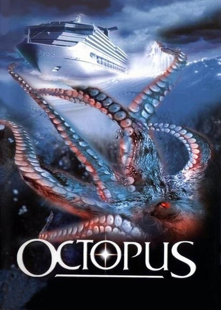 Octopus photo