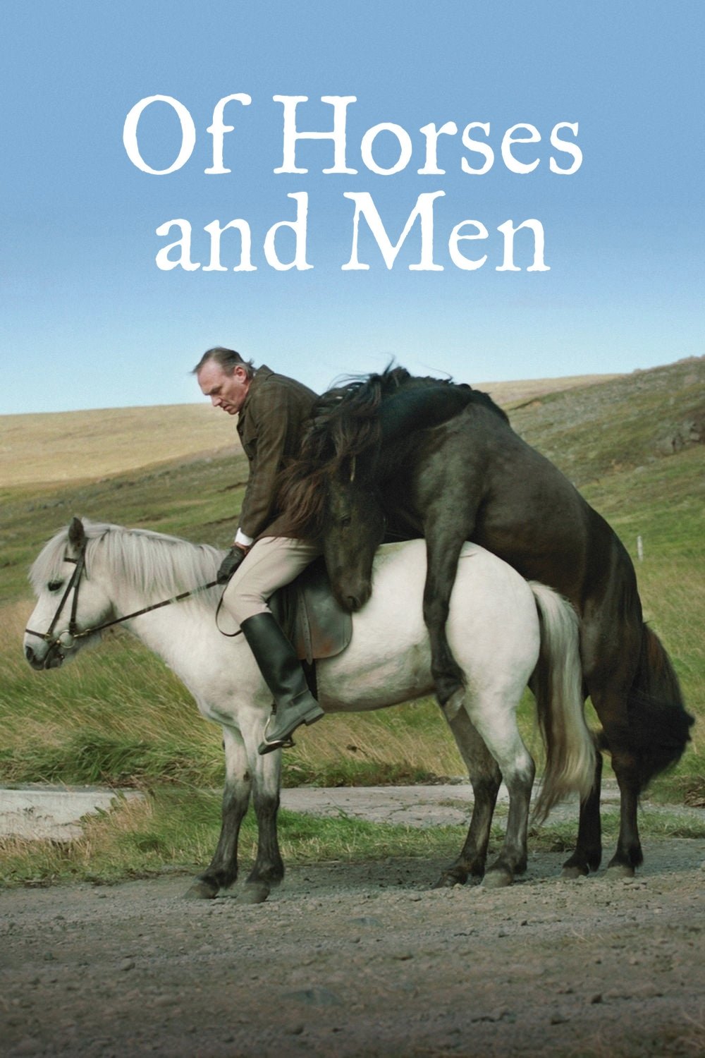 Of Horses and Men photo